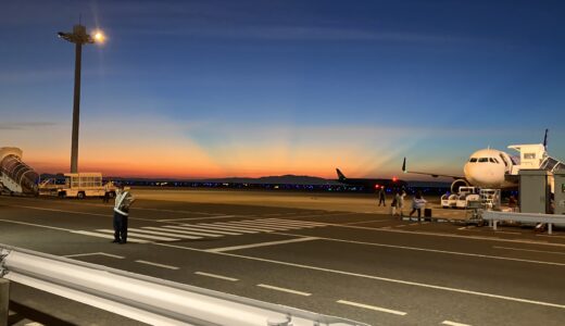 Peach夜便で子連れシンガポール｜最安航空券＆深夜到着ホテルの体験談【1日目｜移動】
